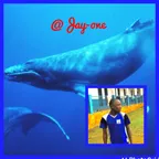 INITIATIVE: Swimming with whales by @jay-one thumbnail